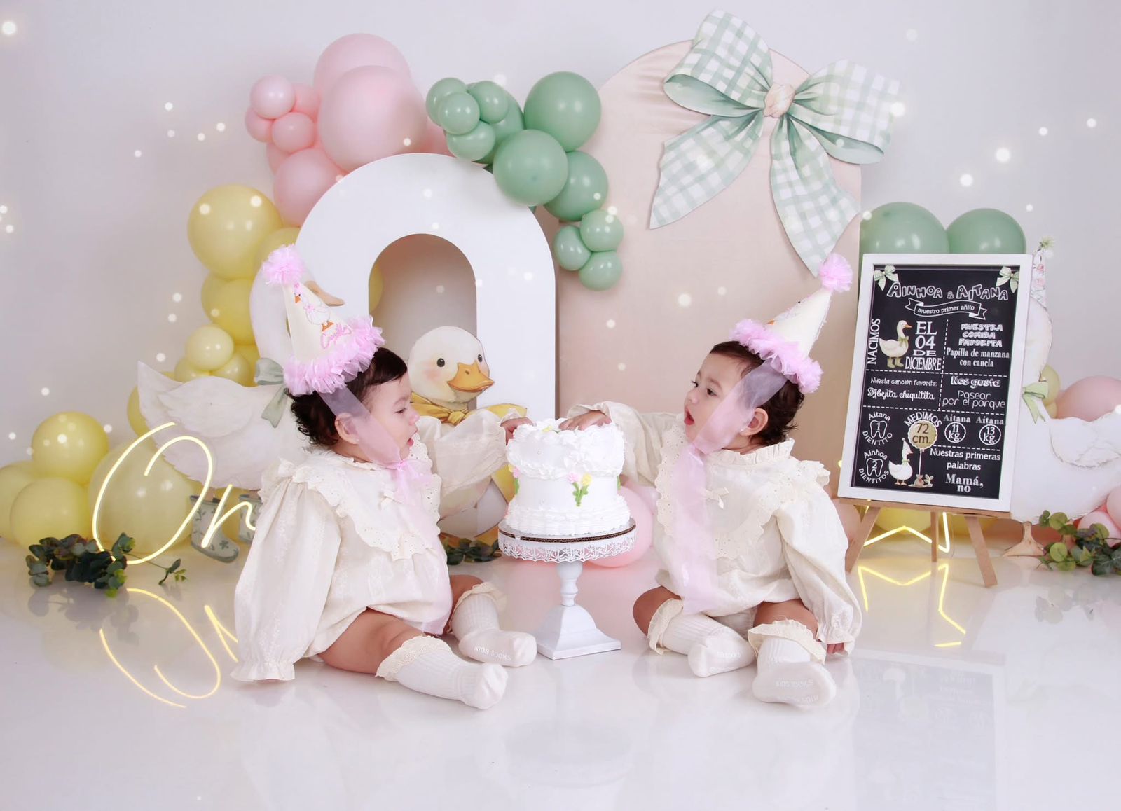 Smash Cake gemelas